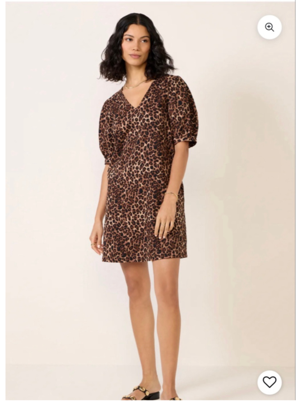 Evereve Leopard Print Shay Dress